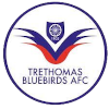 Trang chủ 65 Trethomas Bluebirds